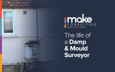 The Life of a Damp & Mould Surveyor
